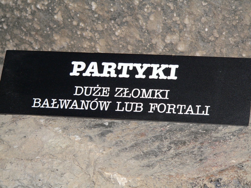 Partyki